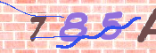 Immagine CAPTCHA